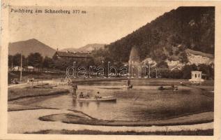 Puchberg am Schneeberg, lake