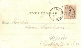 1899 Győr, Új Városháza, Sziget, üzlet, Regatta pavilon, evezősök, sport. Kiadja Berec Viktor Nr. 36...