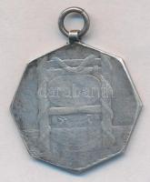 Berán Lajos (1882-1943) DN Evezős díjérem füllel, jelzetlen Ag, "S.G.A. (Scheid Ezüstáru- és Ér...