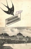 Budapest II. Lukács fürdő. Fecskés üdvözlő montázslap / Greeting montage with swallow