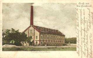 1906 Kisbecskerek, Becicherecu Mic, Kleinbetschkerek; Terézia gőzmalom / Theresien-Dampf-Mühle. Peter Herzog / steam mill (EK)