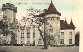 Nagykároly, Carei, Grosskarol; Gróf Károlyi kastély. Csókás László kiadása / Schloss / castle