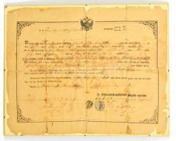 1868 Katonai végelbocsájtó levél biai lakos részére, sérült, üvegkeretben