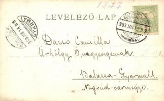 1903 Bodony, kúria, kastély. photo (EK)