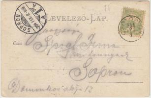 1904 Csütörtök, Csötörtök, Stvrtok; Kastély szálló, hintó / castle hotel, carriage, coach. photo (EK...