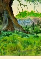 Szappanos jelzéssel: Zöld erdő, akvarell, papír, paszpartuban, üvegezett fa keretben, 21,5×28 cm