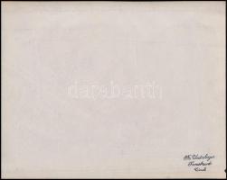 cca 1890 Stilfser Joch-Strasse, Bromio, Tirol jelzett fotó s: Unterberger. / Signed photo of Tyrol l...