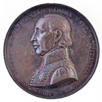 Josef Daniel Boehm (1794-1865) 1846. "József nádor 50 éves nádori jubileum" Ag emlékérem. "JÓZSEF MAGYAR ORSZÁG NÁDORA ÉS FŐ KAPITÁNYA - VÁLASZTATOTT NOV. 12 1796 / EMLÉKÜL FÉL SZÁZADOS ÉRDEMÉRT 1846" (70,18g/53mm) T:2 ü., ph. / Hungary 1846. "Election jubilee of Joseph Archduke" Ag commemorative medallion. Sign.: Josef Daniel Boehm (70,18g/53mm) C:XF ding, edge error  HP 284.