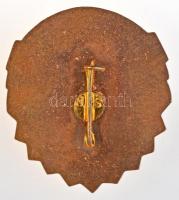 Románia DN "Vörös kereszt - Regionális Tudományok Román Szövetsége / Kitüntetés" aranyozot...