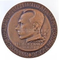 Bődy Kálmán (1885-1956) ~1930. Magyarország éghajlatának megismeréséért a Magyar Meteorológiai Társaság - Hegyfoky Kabos emlékezetére 1847-1919 Br emlékérem, eredeti tokban, hátoldalon 42 sorszámmal (91,13g/59mm) T:1- / Hungary ~1930. For the cognition of the cilmate of Hungary - Hungarian Meteorological Society Br commemorative medal, in original case, with 42 number on back. Sign.: Kálmán Bődy (91,13g/59mm) C:AU