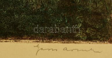 Gross Arnold (1929-2015): Badacsony, színezett rézkarc, papír, jelzett, 29×38,5 cm