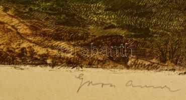 Gross Arnold (1929-2015): Bodrogpart, színezett rézkarc, papír, jelzett, 23×31 cm