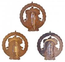 ~1970-1980. "BHV Budapesti Húsipari Vállalat - Törzsgárda" arany, ezüst és bronz fokozatú,...