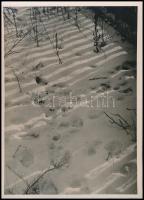 cca 1935 Kinszki Imre (1901-1945): Nyomok a hóban, pecséttel jelzett vintage fotóművészeti alkotás, 17x12 cm