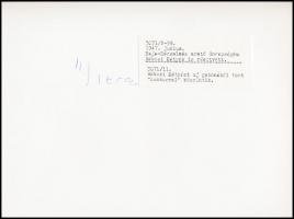 cca 1947 Rákosi Mátyásról készült 3 db riportfotó, későbbi nagyítások, feliratozva, 18x24 cm