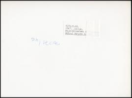 cca 1947 Rákosi Mátyásról készült 3 db riportfotó, későbbi nagyítások, feliratozva, 18x24 cm