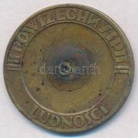 Lengyelország 1931. "Zaofiarna Prace 9 XII 1931 / Powszechny spis" fém katonai jelvény hiá...