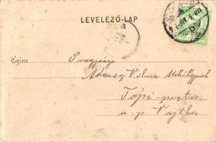 Szekszárd, Szegzárd; Izraelita templom, zsinagóga. Fischhof Mór kiadása / synagogue (fl)