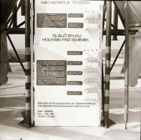 cca 1965 1965 Sinka Antal (?-?) hagyatékából 13 db szabadon felhasználható vintage negatív különféle...