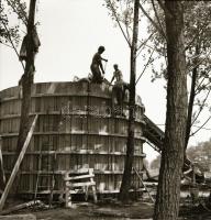 cca 1965 1965 Sinka Antal (?-?) hagyatékából 13 db szabadon felhasználható vintage negatív különféle...