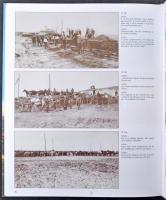 Dr. Héjjas Pál: Tihany a Balaton partján - Régi balatoni levelezőlapok a század első feléből. Kiadja...