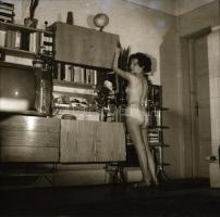 1976 Maci akt feliratú negatív tartóban, 12 db vintage negatív Menesdorfer Lajos (1941-2005) budapes...