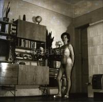 1976 Maci akt feliratú negatív tartóban, 12 db vintage negatív Menesdorfer Lajos (1941-2005) budapes...