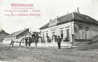 Pécs, Meisenzahl lókereskedő üzlete. Wessely és Horváth kiadása / Meisenzahl Pferde-Export