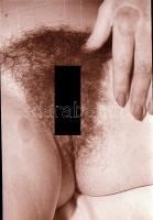 cca 1971 Egészséges erotika, 9 db vintage negatív és/vagy diapozitív, 24x36 mm