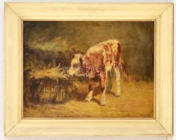 Erdőssy Béla (1871-1928): Boci. Olaj, karton, jelzett, keretben, 33×44 cm