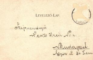 1899 Arad. Az aradi vértanúk kivégzésének 50. évfordulója emlékére - 14 db régi vágott szecessziós m...