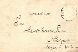 1899 Arad. Az aradi vértanúk kivégzésének 50. évfordulója emlékére - 14 db régi vágott szecessziós m...