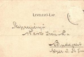 1899 Arad. Az aradi vértanúk kivégzésének 50. évfordulója emlékére - 14 db régi vágott szecessziós m...