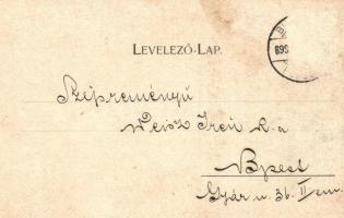 1899 Arad. Az aradi vértanúk kivégzésének 50. évfordulója emlékére - 14 db régi vágott szecessziós m...