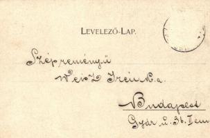 1899 Arad. Az aradi vértanúk kivégzésének 50. évfordulója emlékére - 14 db régi vágott szecessziós m...