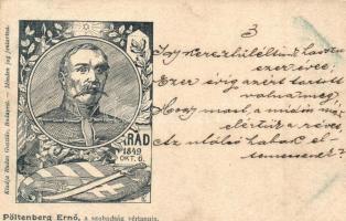 1899 Arad. Az aradi vértanúk kivégzésének 50. évfordulója emlékére - 14 db régi vágott szecessziós m...