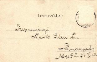 1899 Arad. Az aradi vértanúk kivégzésének 50. évfordulója emlékére - 14 db régi vágott szecessziós m...