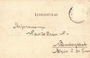 1899 Arad. Az aradi vértanúk kivégzésének 50. évfordulója emlékére - 14 db régi vágott szecessziós m...