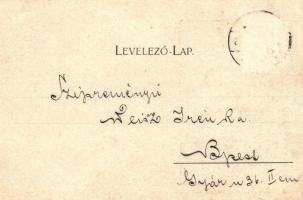 1899 Arad. Az aradi vértanúk kivégzésének 50. évfordulója emlékére - 14 db régi vágott szecessziós m...