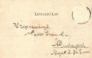 1899 Arad. Az aradi vértanúk kivégzésének 50. évfordulója emlékére - 14 db régi vágott szecessziós m...