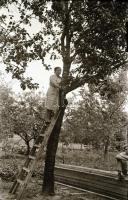 cca 1940 Balatonfüred - fürdőház, vendéglő, pensio, vízpart, stb., 11 db vintage negatív és 11 db vi...