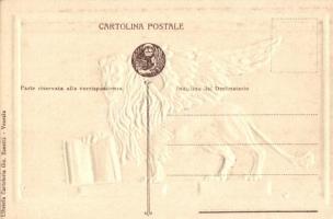 Venice, Venezia; Leone di San Marco / Lion of St Mark, Golden Emb. litho. Gio Zanetti