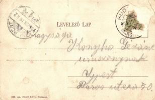 1905 Budapest XIII. Margitszigeti lóvasút. Divald Károly 919. / Margarethen Insel Partie (szakadás /...