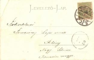 1903 Budapest I. Vársikló / Drahtseilbahn auf die Kgl. Burg (EK)