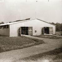cca 1965 Sinka Antal (?-?) hagyatékából 21 db vintage negatív különféle témákról, 6x6 cm
