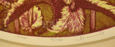 Németh András (1941-): Mák. Színes linó, papír, jelzett, üvegezett keretben, d:36 cm