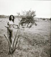 cca 1988 Aktfelvételek, Menesdorfer Lajos (1941-2005) budapesti fotóművész hagyatékából 9 db vintage...