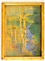 SNS jelzéssel:Nyírfa a pataknál. Akvarell, papír, üvegezett keretben, 32×22 cm
