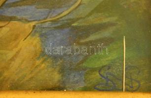 SNS jelzéssel:Nyírfa a pataknál. Akvarell, papír, üvegezett keretben, 32×22 cm