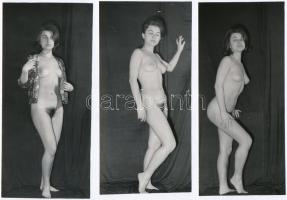 cca 1971 Blúz és kombiné, szolidan erotikus felvételek, 6 db vintage fotó, 17x7,5 cm